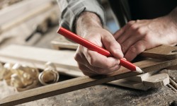 Etiam dictum egestas